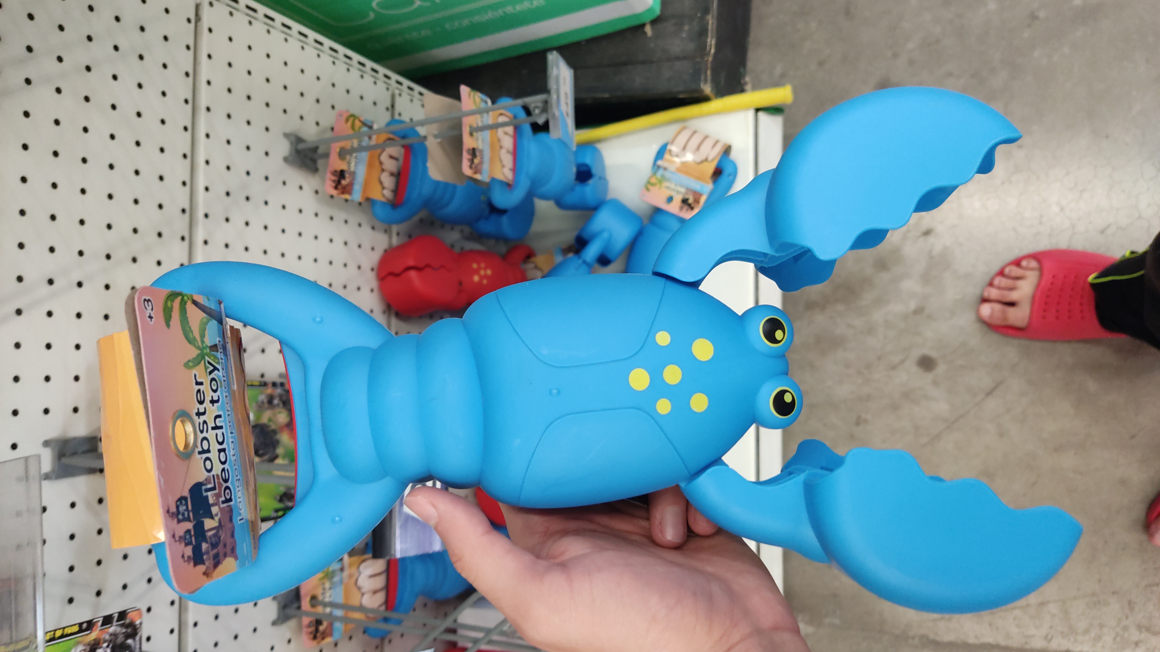 Lobster