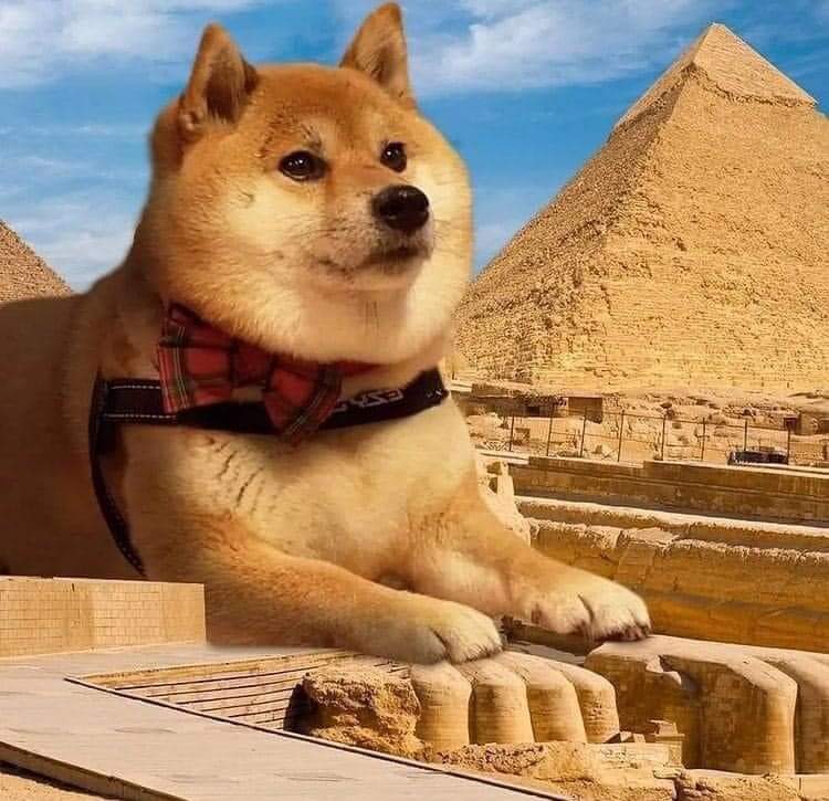 Perri