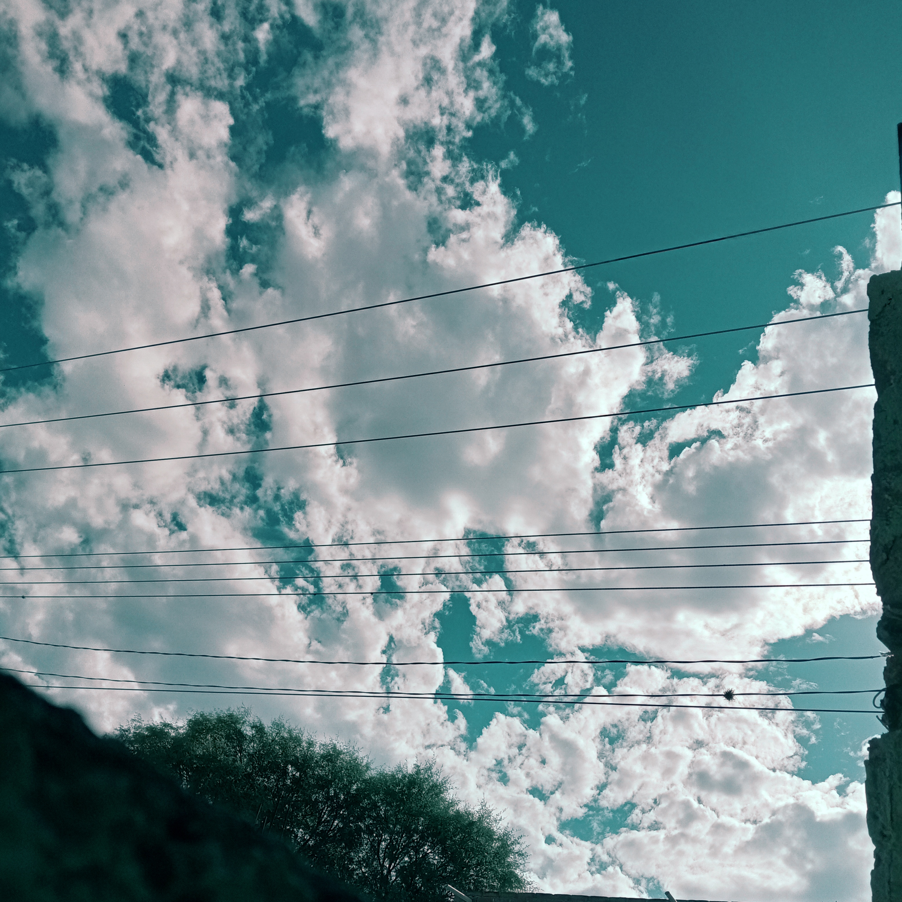 Sky