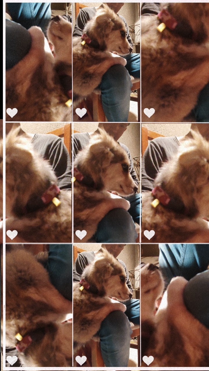 CUIDANDO AL CUIDADOR