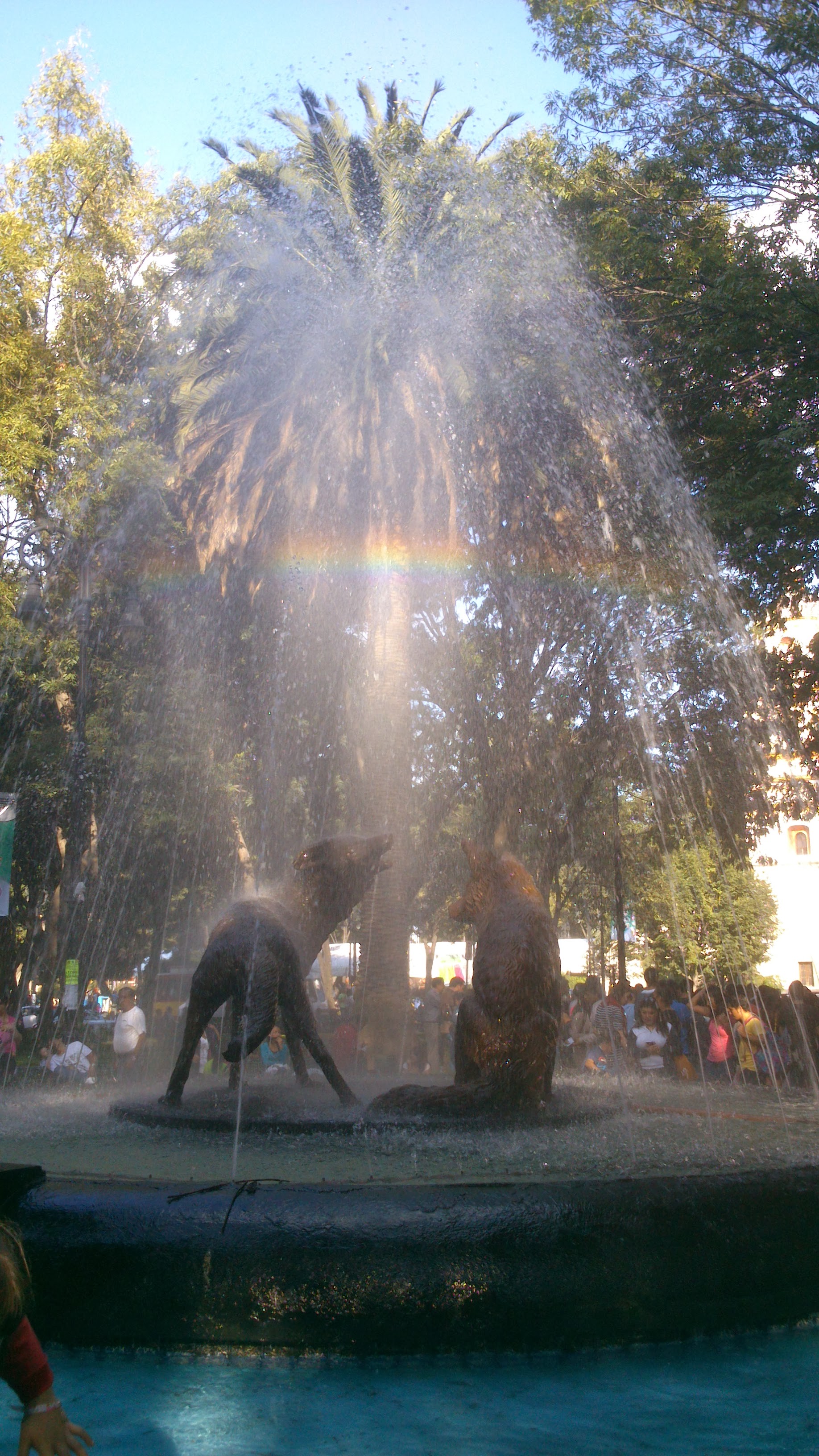 El arcoiris delos coyotes