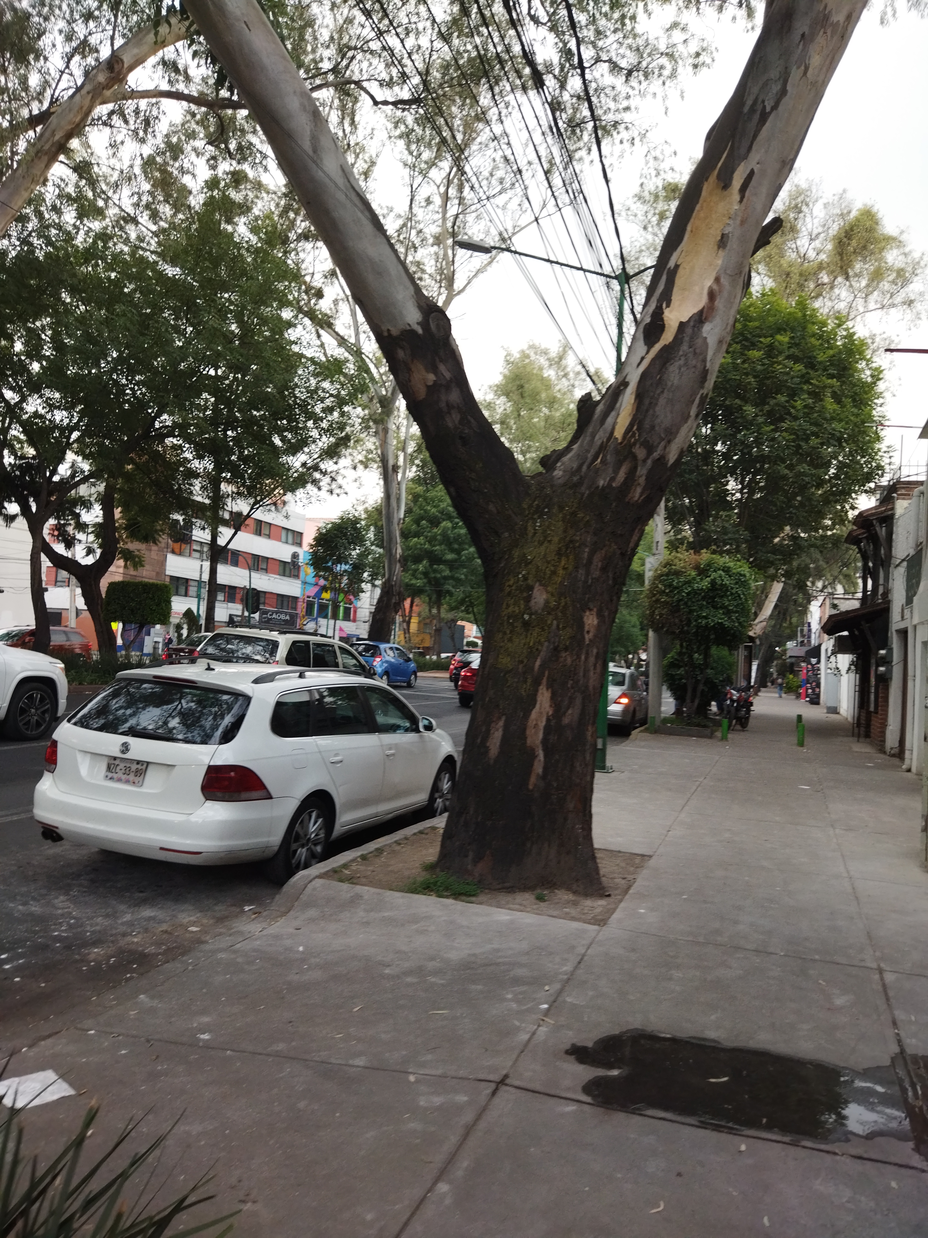 Street