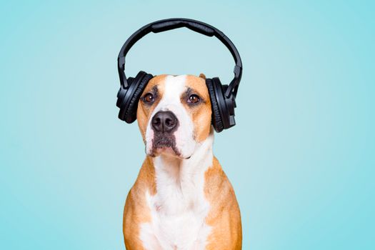 Ta buena está rolaaa