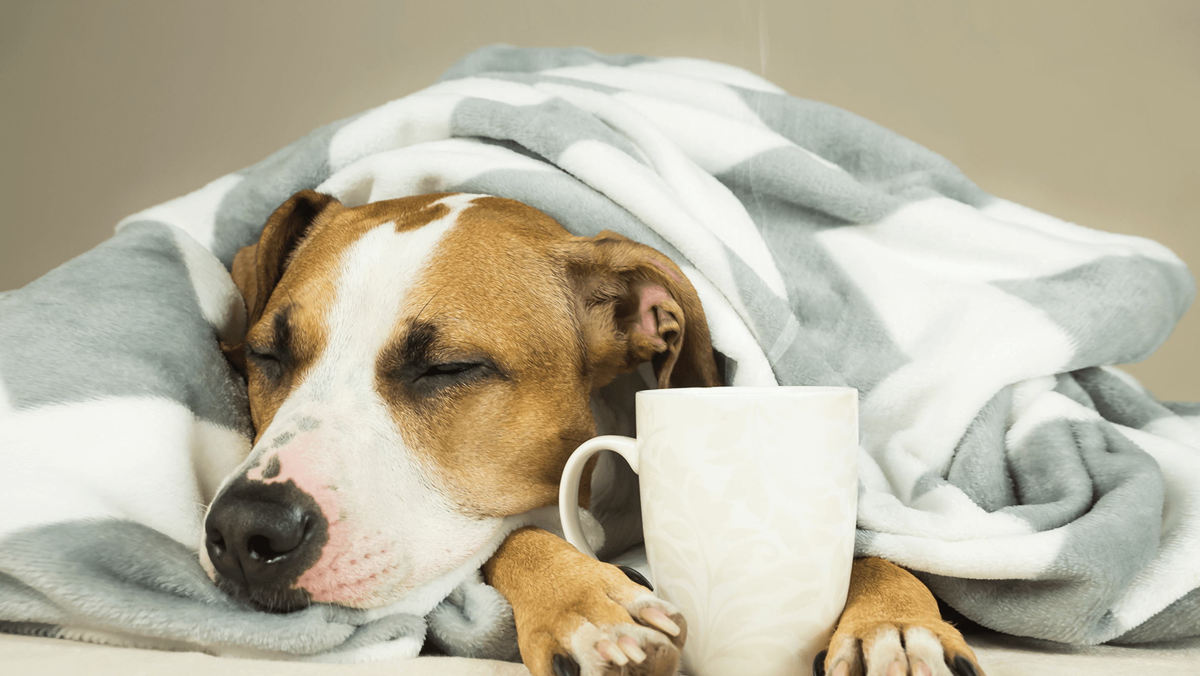 Una tacita de te y a dormir