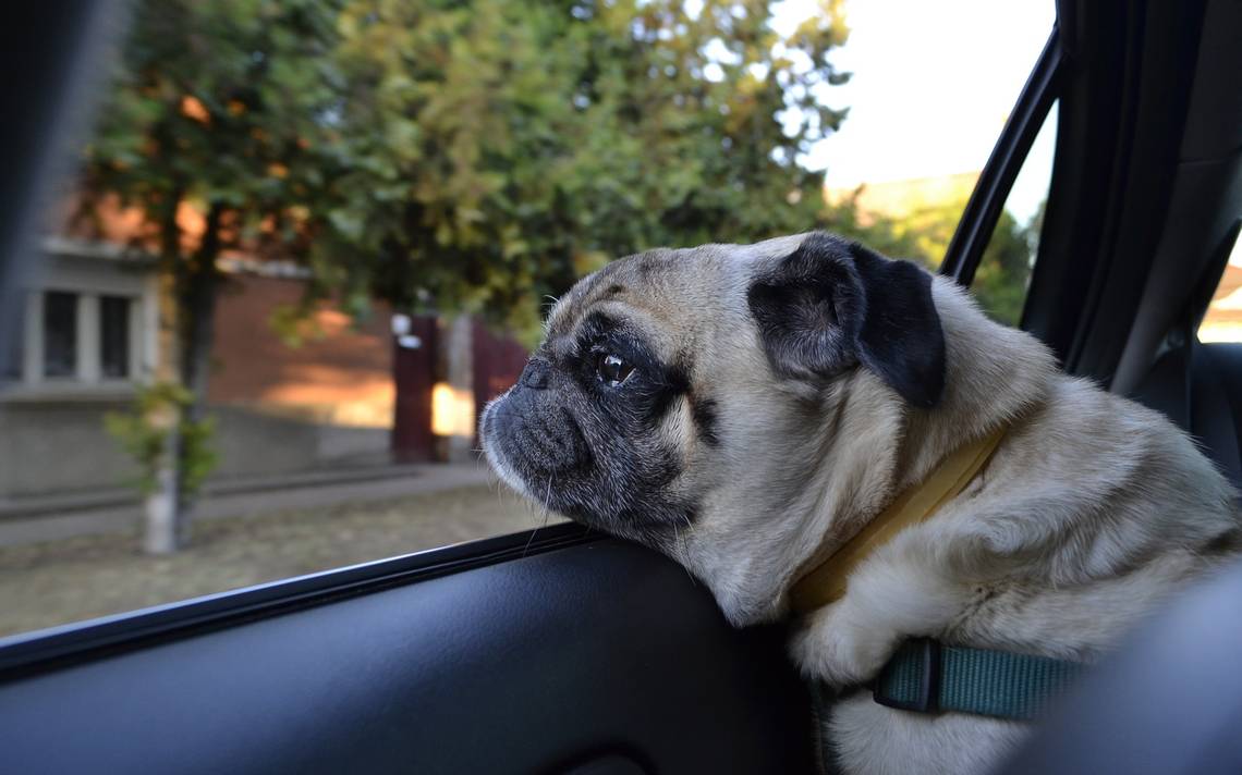 Mirando el horizonte