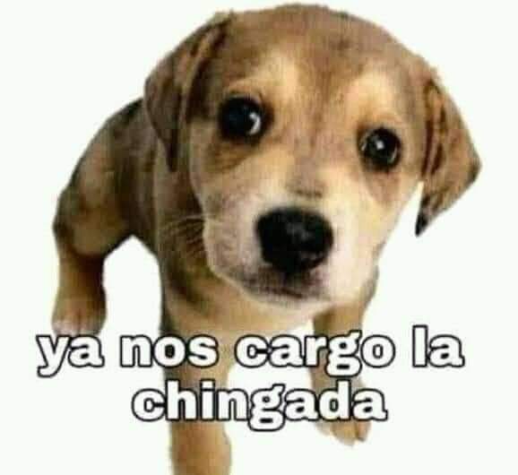 Ya nos cargo la chingada