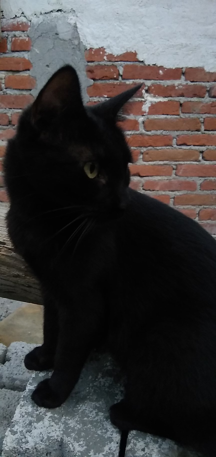 Mirando