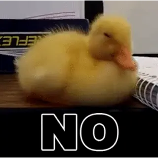 Sí