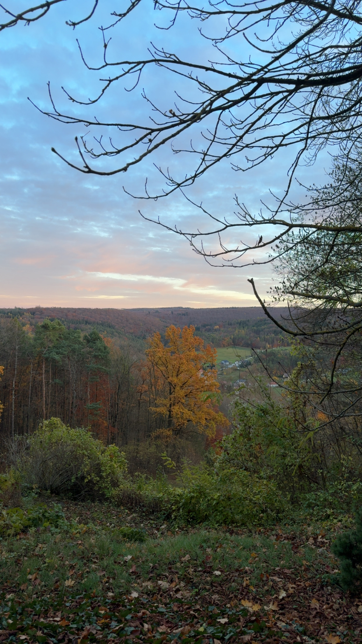 Fall