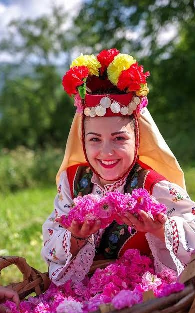 Festival Bulgaria rose 1