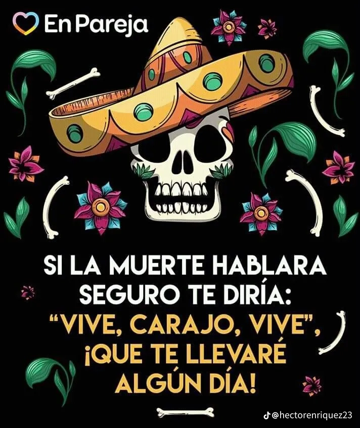 Vive