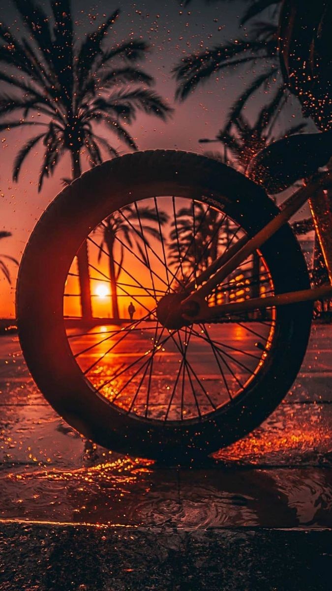 Tardes