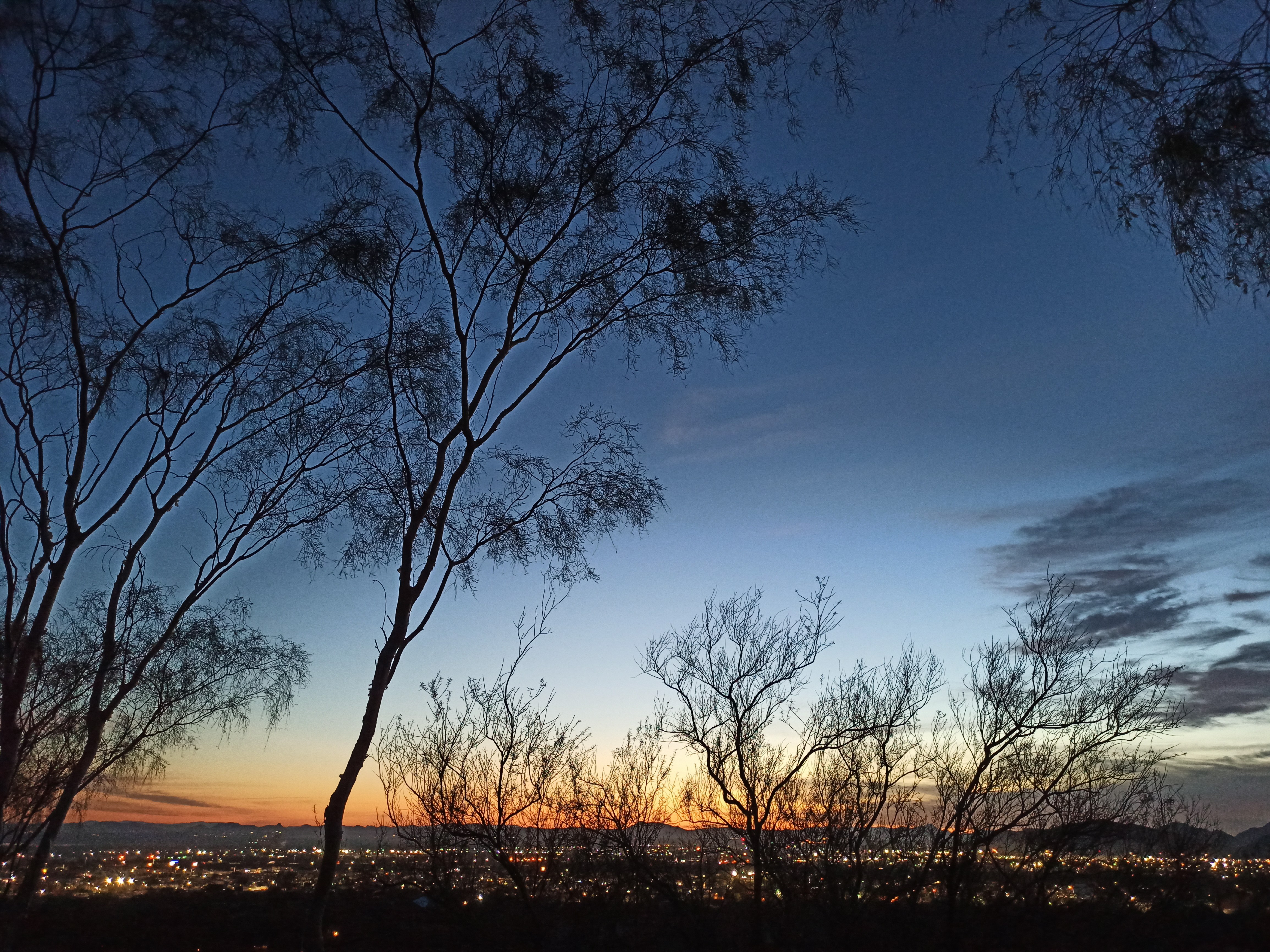 Amanecer en el desierto