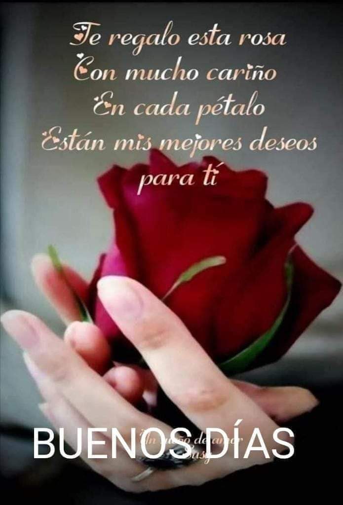 Flor
