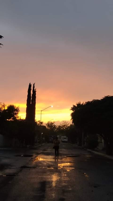 Maravilla de Amanecer
