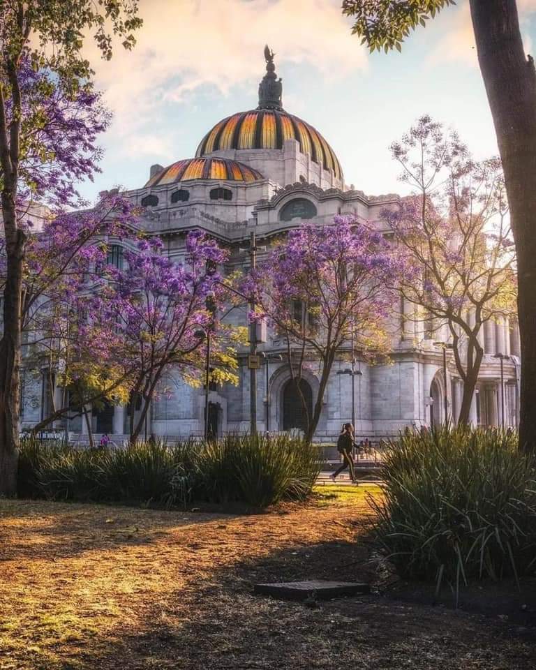 Bellas artes