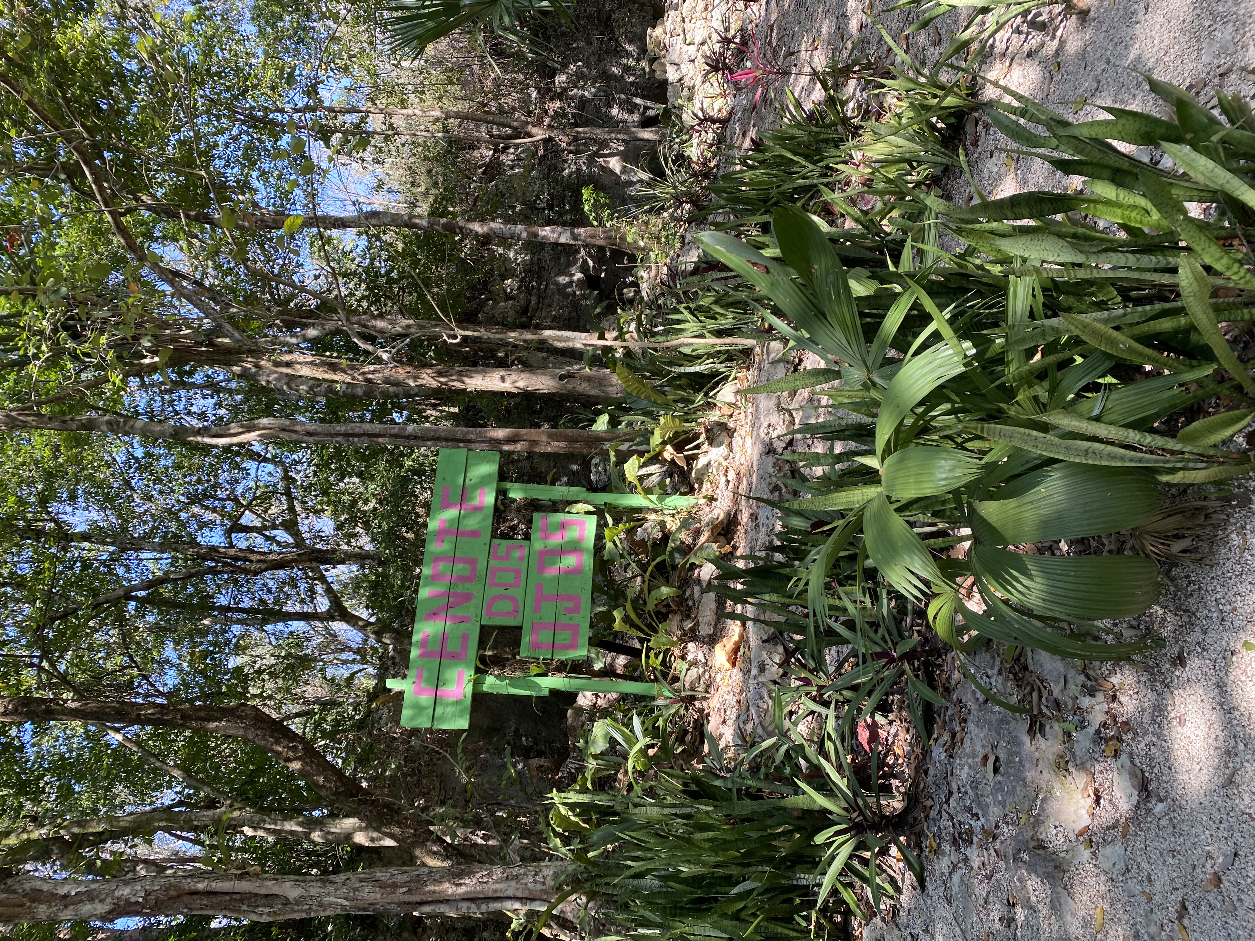 Tulum
