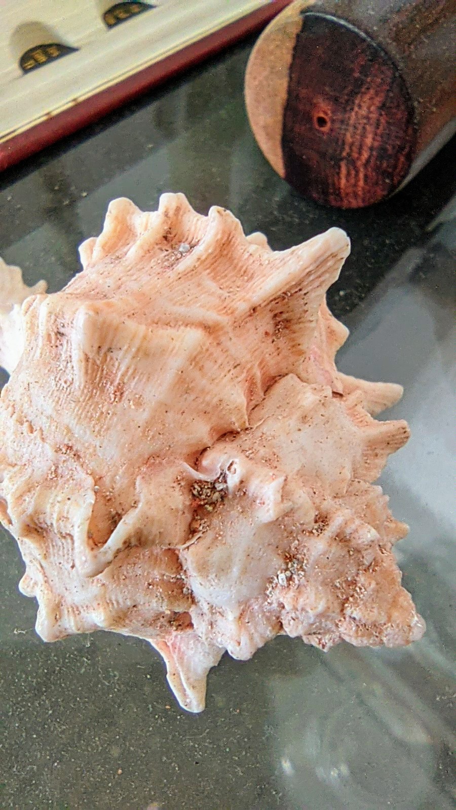 Belleza del mar
