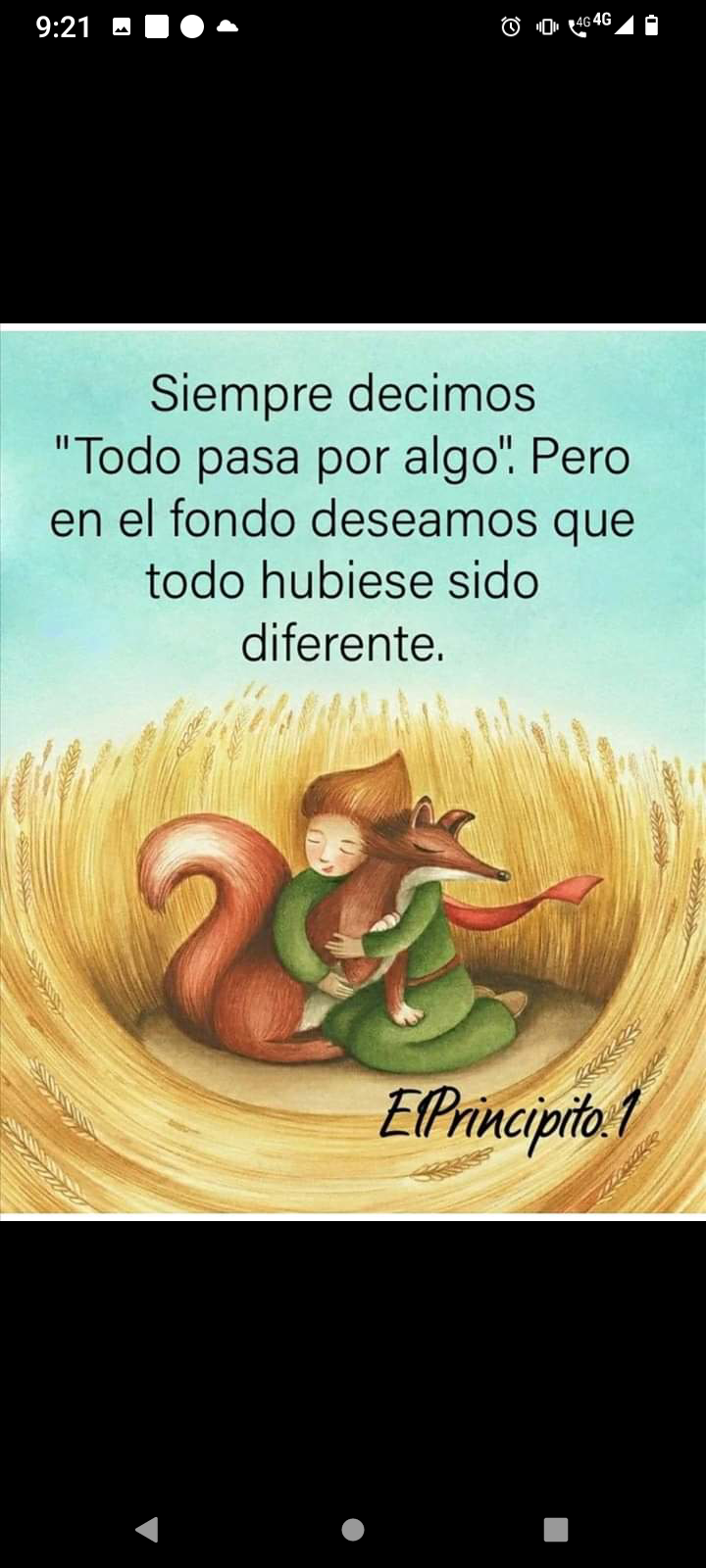 Siempre decimos