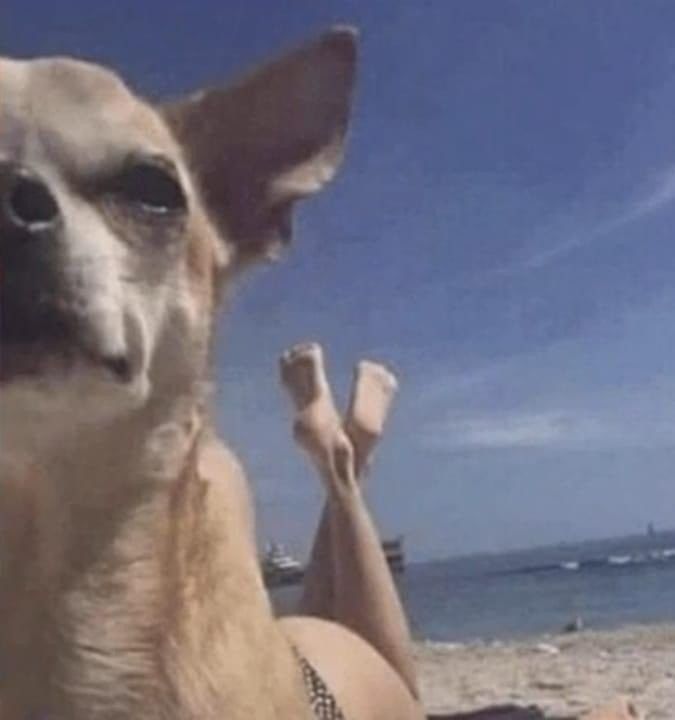 Tomando el sol
