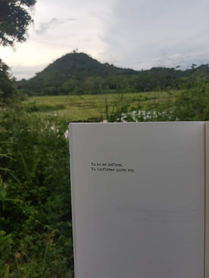 Poetry in the forest.