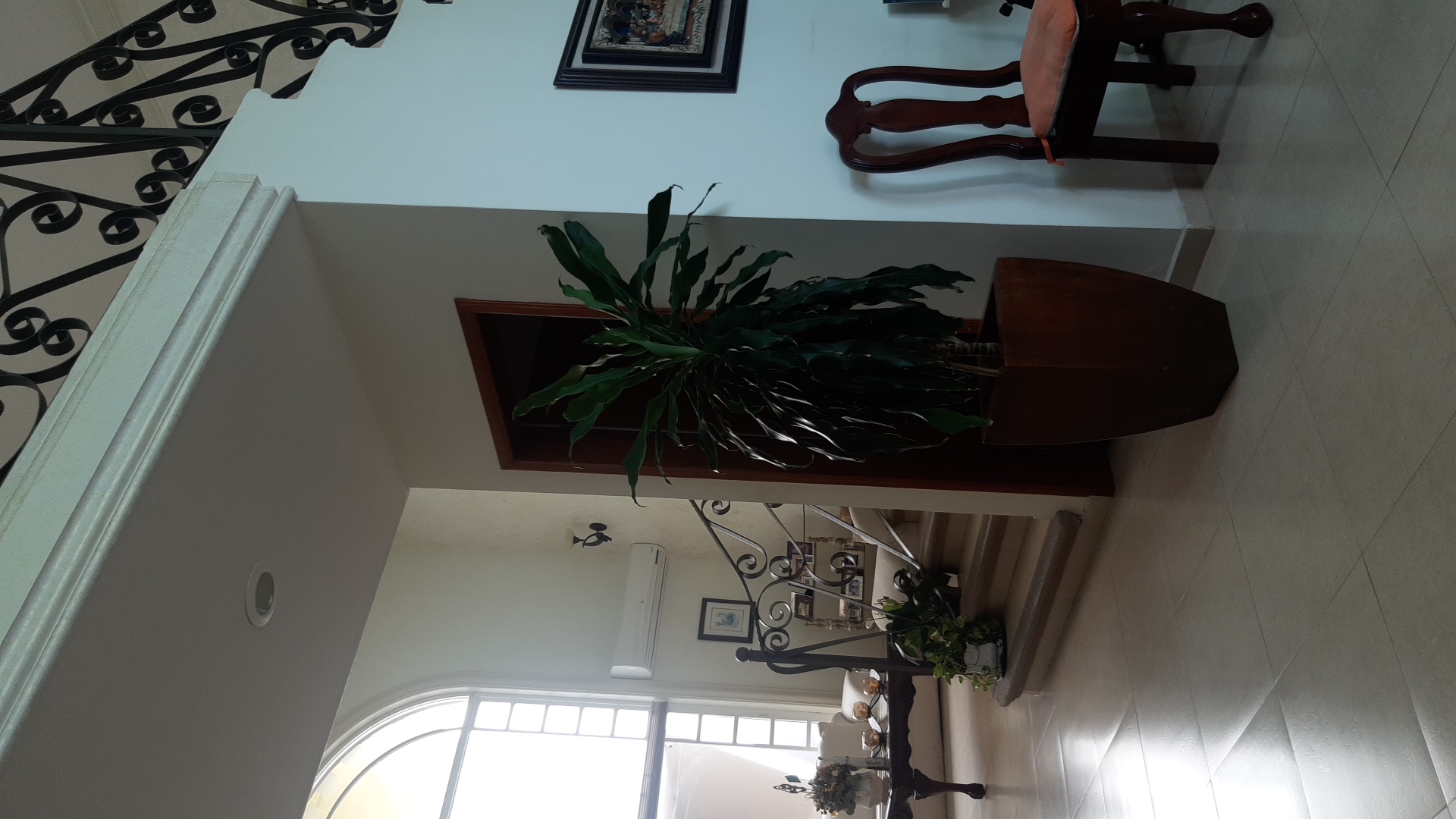 Planta