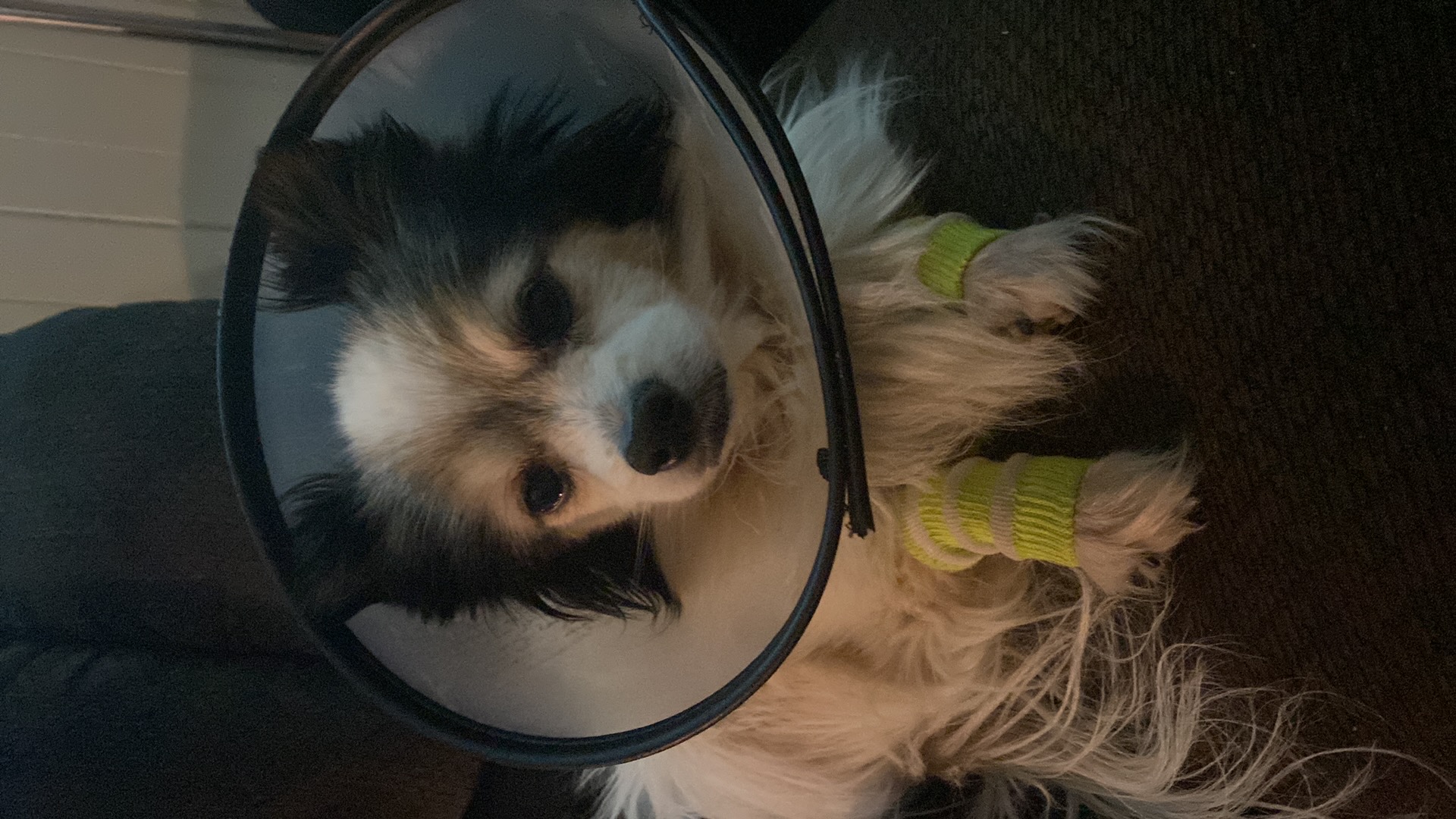 No Lovin' da Cone with my Leggies