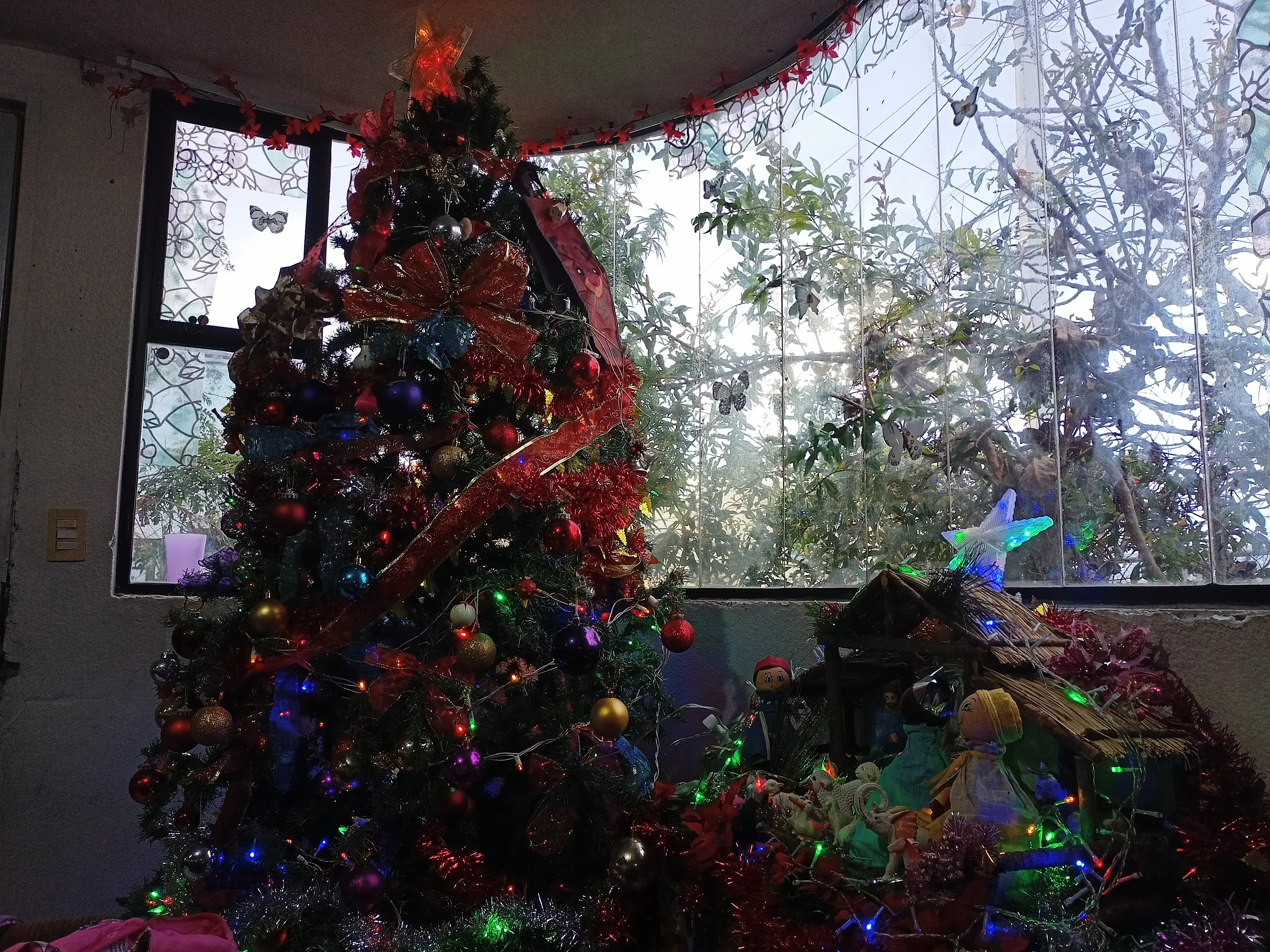 Navidad 24