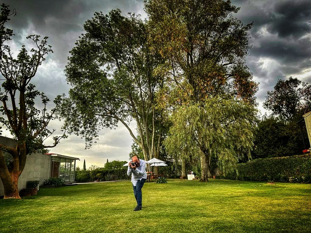 Arbol y Fotógrafo
