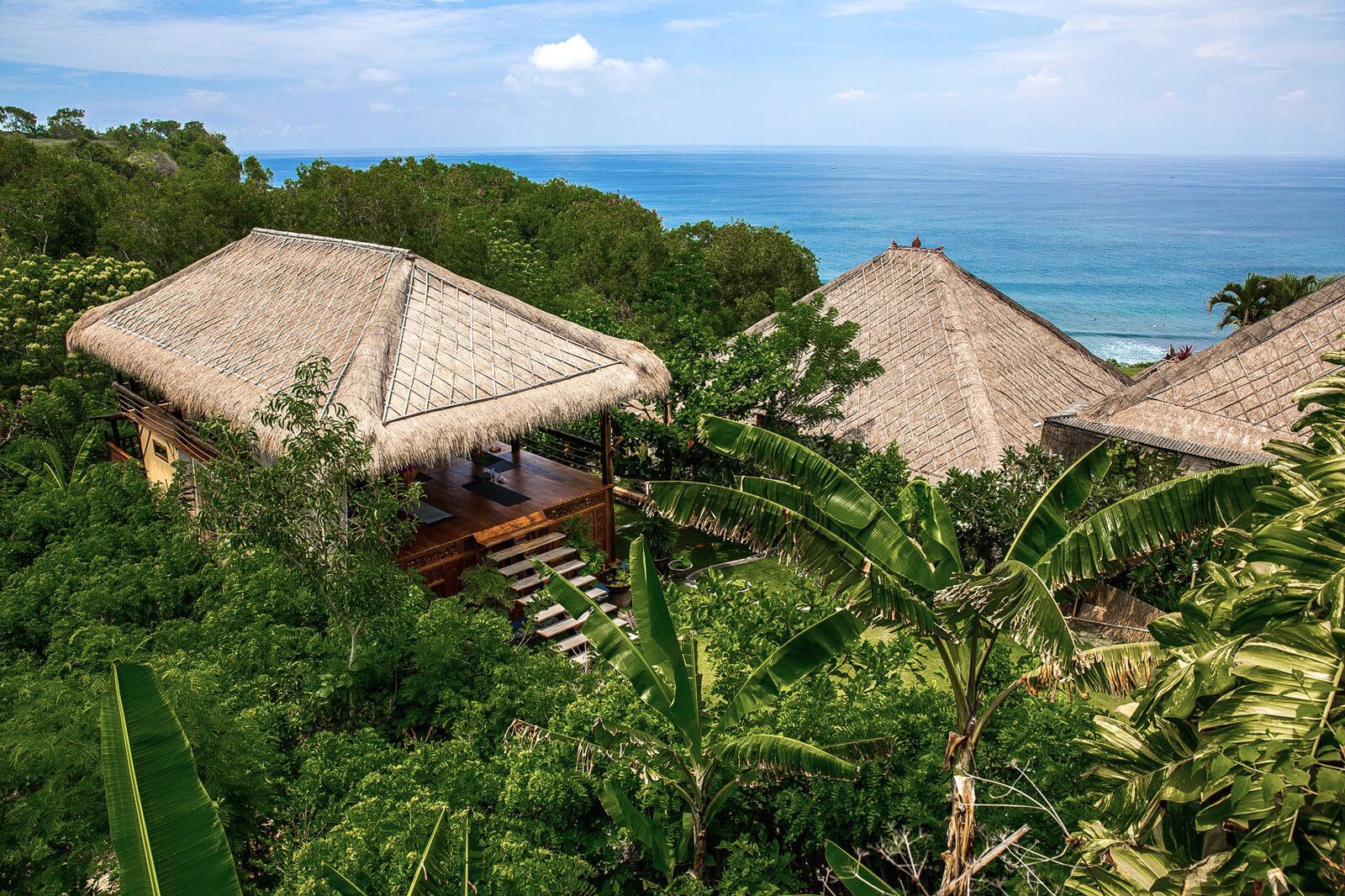 Jungle and the sea