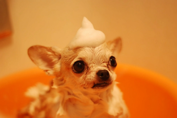 Que me habrán puesto arriba?