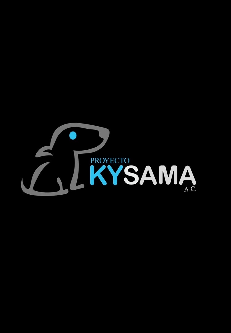 proyecto Kysama