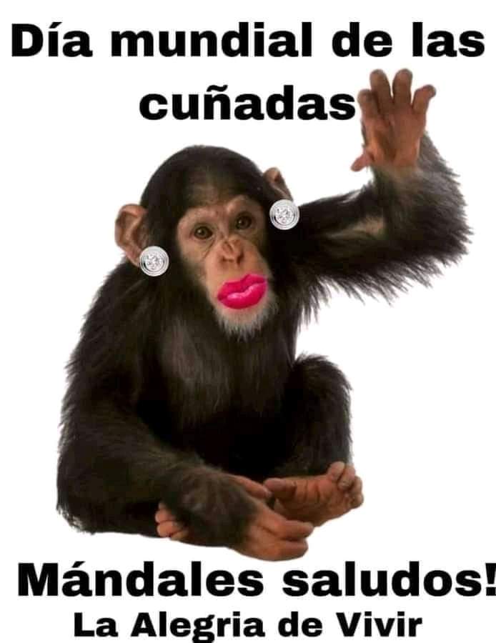 Feliz dia