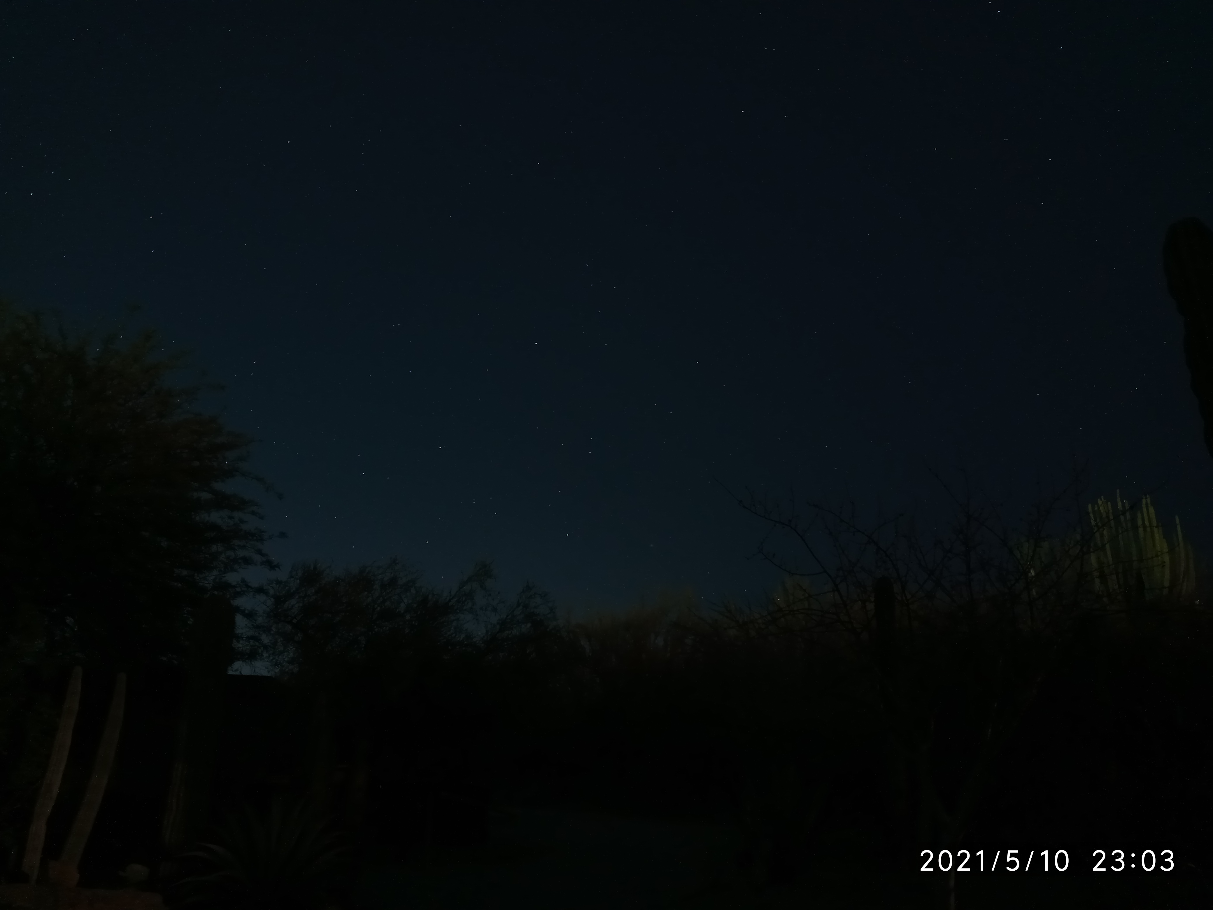 Cielo nocturno de Sonora.