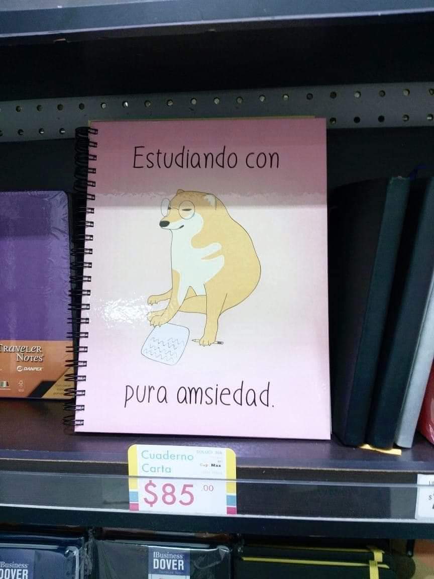 Amsieda