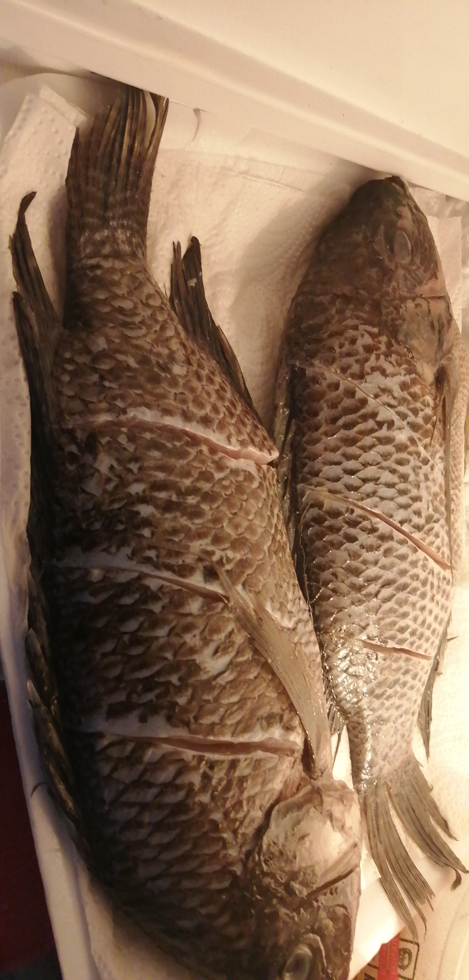 Mojarritas