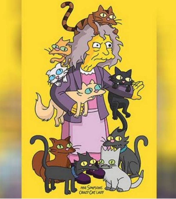 Msm cats