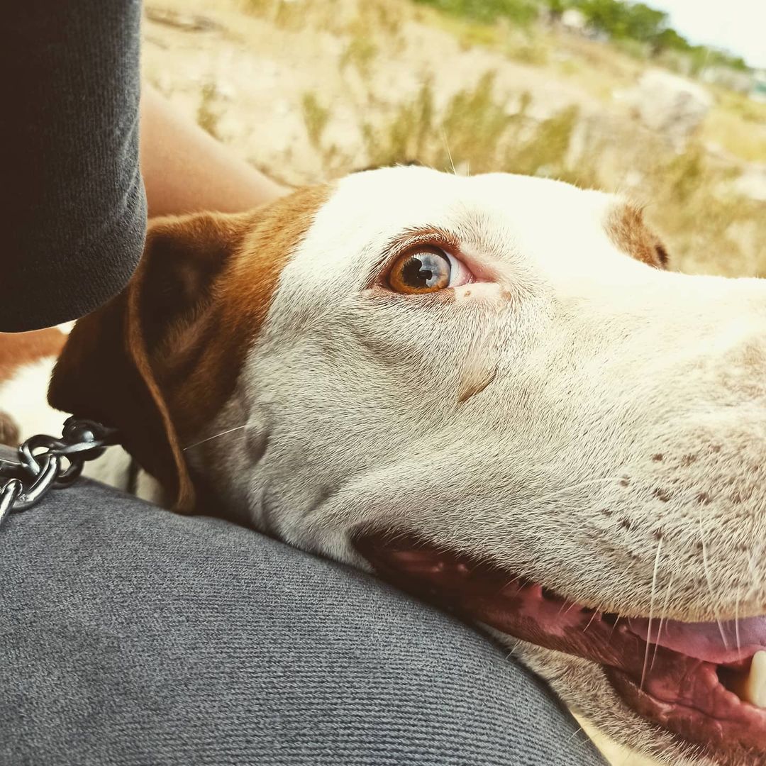 La Mirada más sincera.