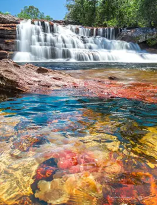 Cano Cristales, Colombia