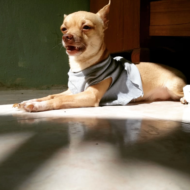 Recostado en el sol
