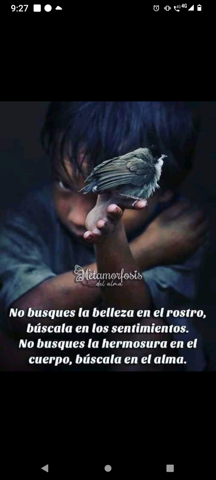 No busques la belleza en el rostro