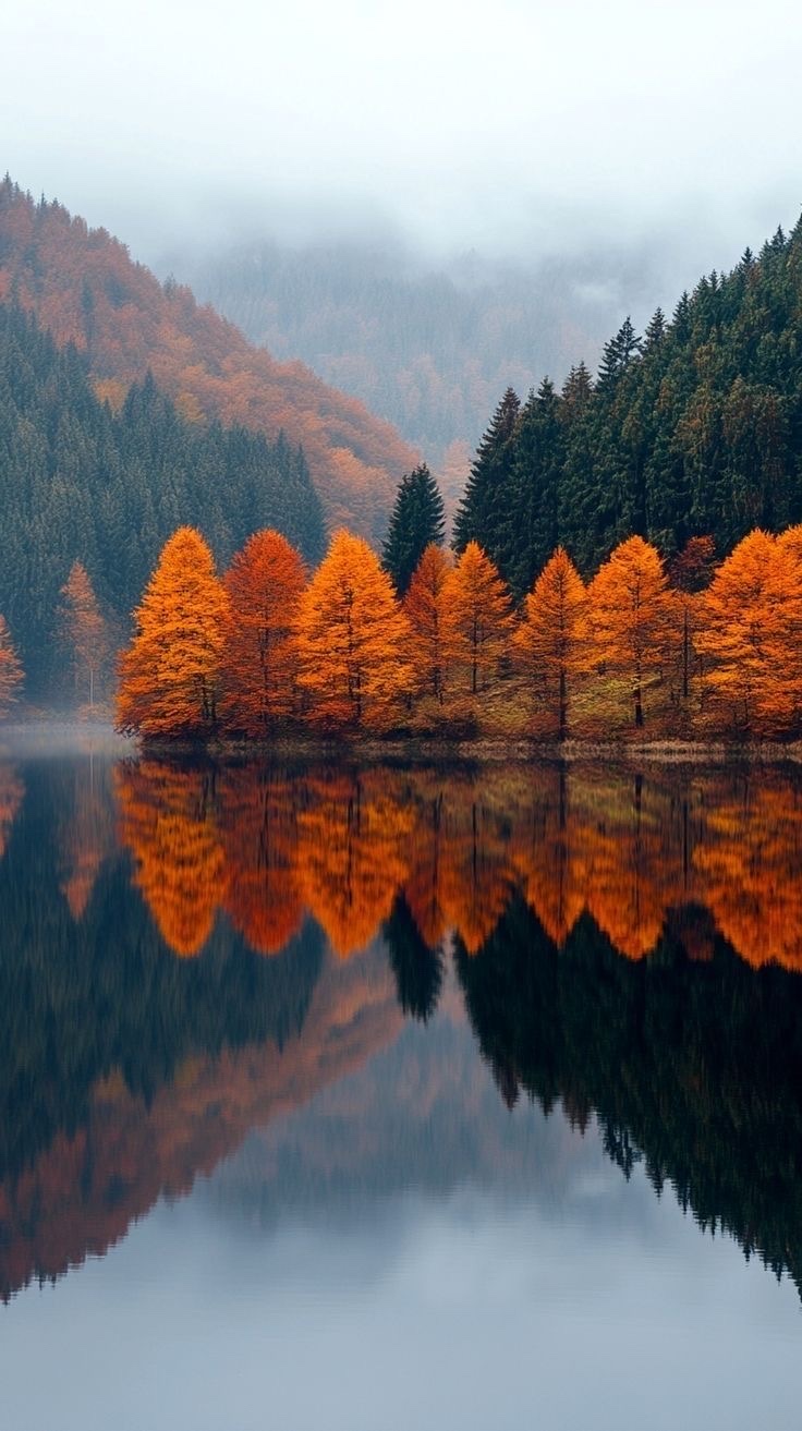 reflection on point