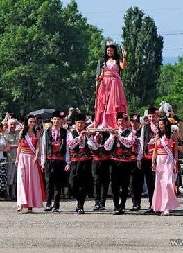 Festival Bulgaria rose 7