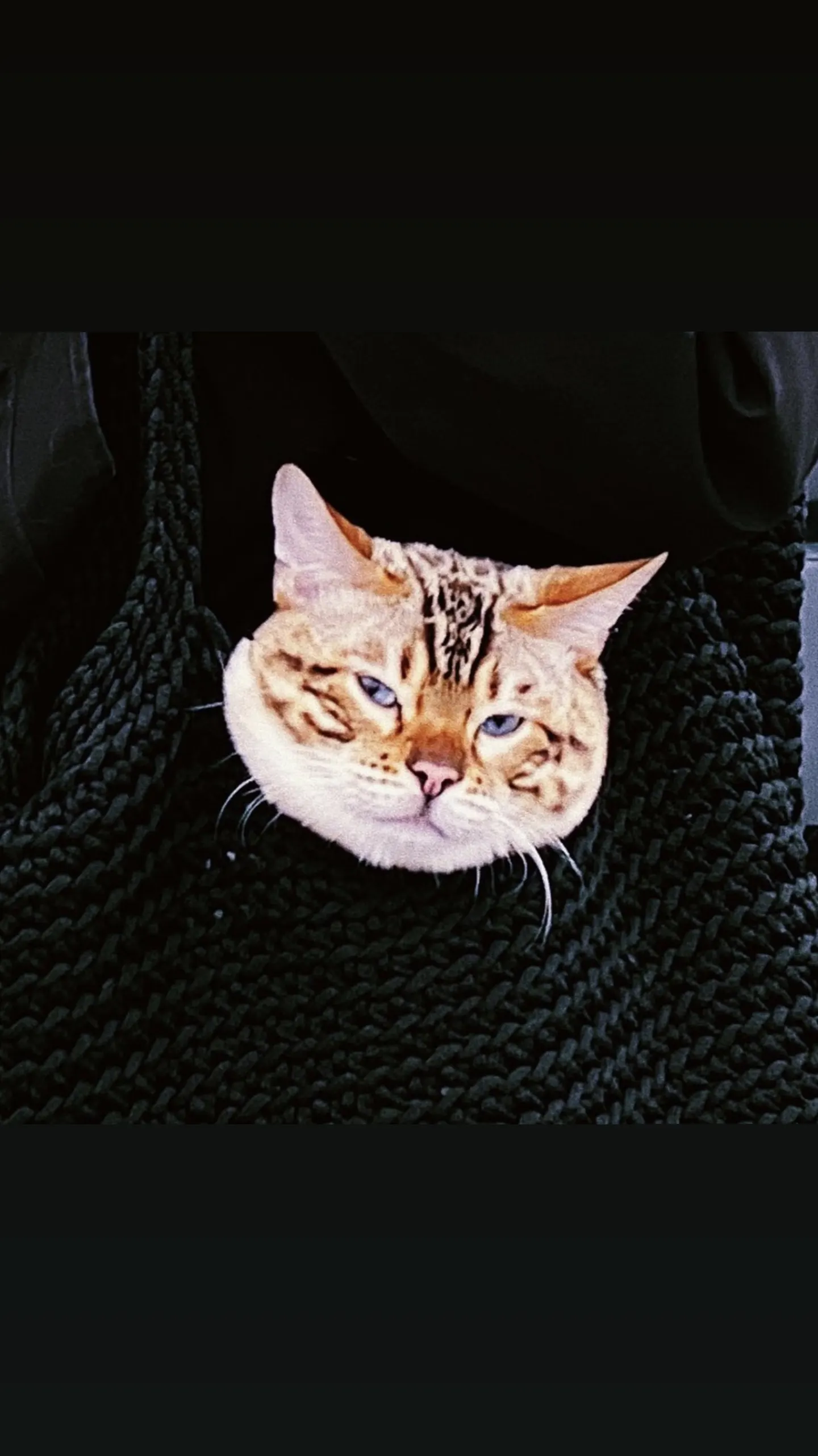 CAtso