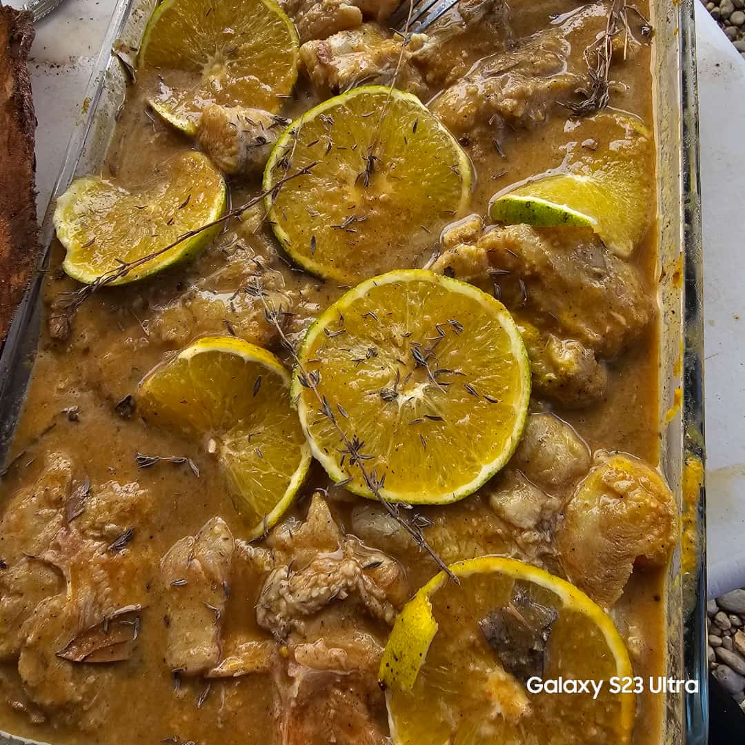 Carne De Cocodrilo
