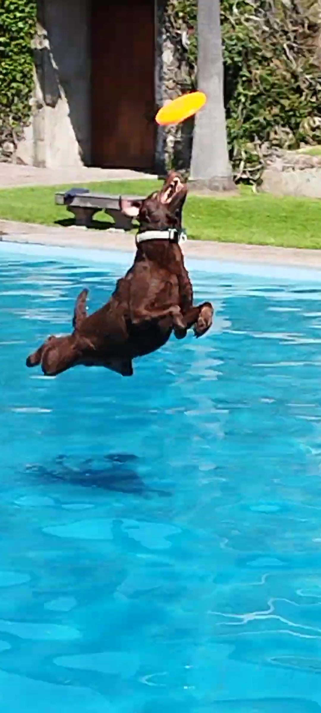 Max flying!!