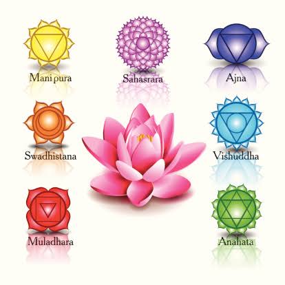 Lotus y 7 chakras