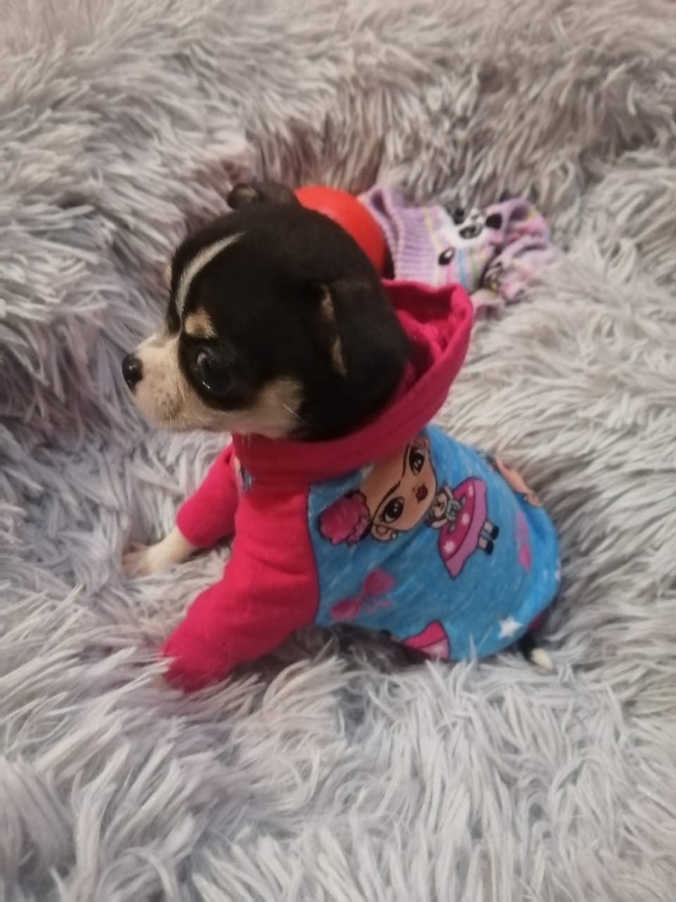 Buenos dias