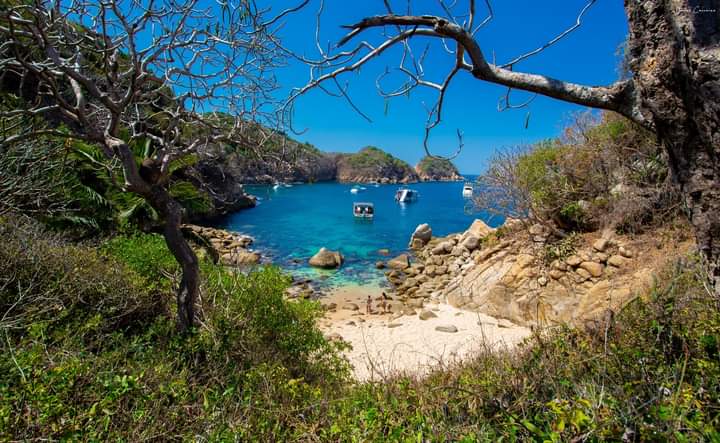 ROQUETA #8 ACAPULCO GRO.