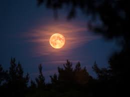 Night